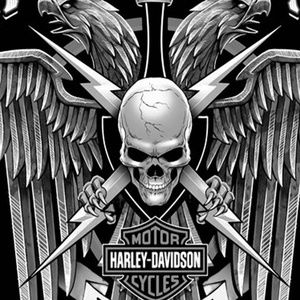 Meet your Posher, Chasity